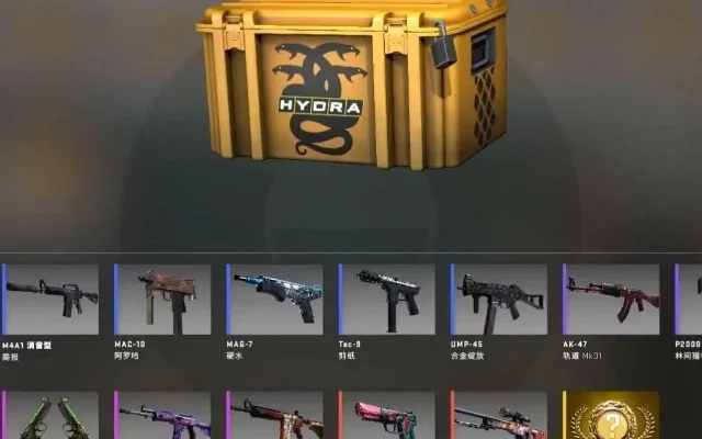 CSGO开箱性价比高箱子推荐及开箱选择指南