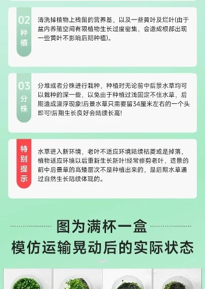 水草控水球游戏排行榜　水草控草产品