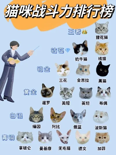 手机游戏猫咪推荐排行榜　手机游戏猫咪推荐排行榜最新