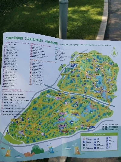 沈阳植物园游玩攻略：轻松游览指南