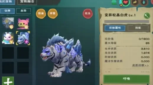 6阶白虎合成步骤详解及注意事项