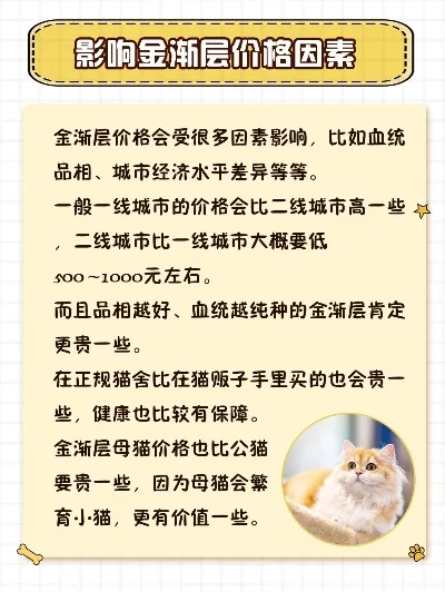 dnf手游金团多少钱-dnf手游金团价格解析