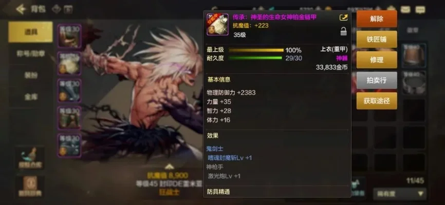 dnf手游特殊装备栏-dnf特殊装备栏详解